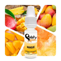 Mangue - Arôme concentré e-Iiquide Pro