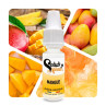 Mangue - Arôme concentré e-Iiquide Pro
