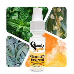 Menthe forte eucalyptus - Arôme concentré e-Iiquide - Solubarome Pro