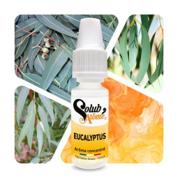Eucalyptus - Arôme concentré e-Iiquide - Solubarome Pro