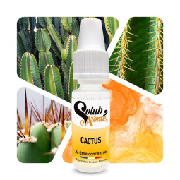 Cactus - Arôme concentré e-Iiquide - Solubarome Pro