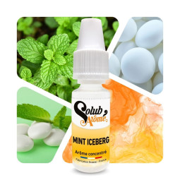 Mint iceberg - Arôme concentré e-Iiquide - Solubarome Pro